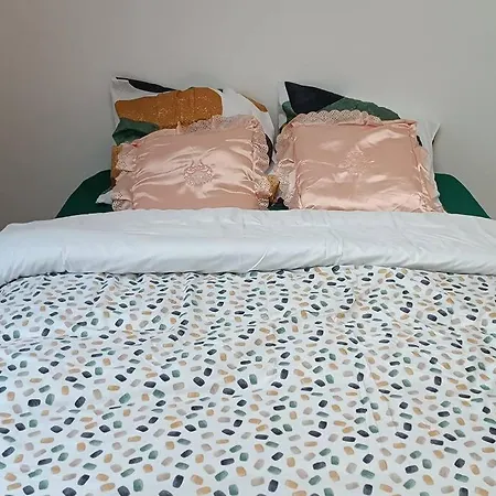 Duplex Lumineux & Wifi Netflix Apartment