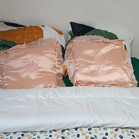 Duplex Lumineux & Wifi Netflix Apartment Roubaix