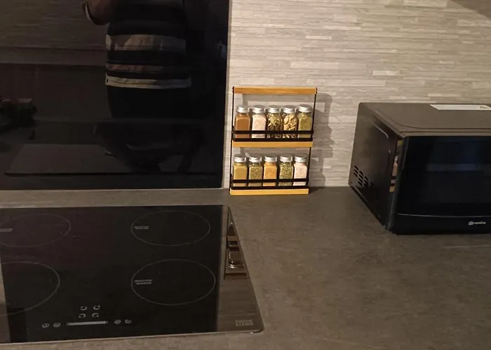 Duplex Lumineux & Wifi Netflix