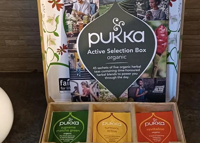 Duplex Lumineux & Wifi Netflix Roubaix