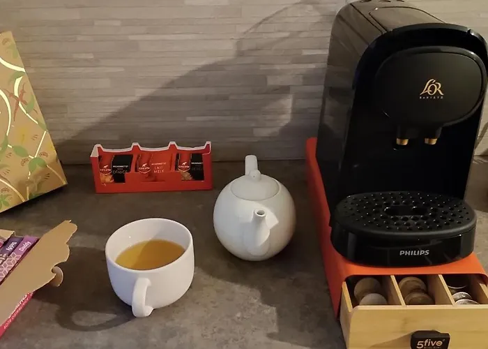 Duplex Lumineux & Wifi Netflix Roubaix